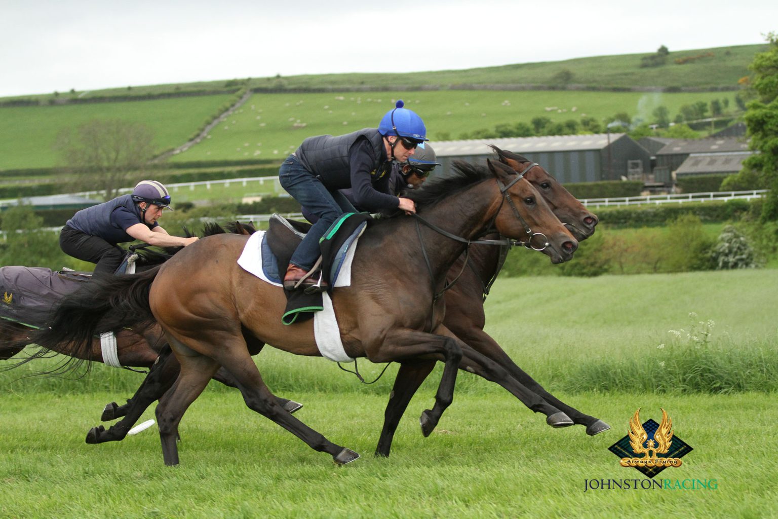 Espressoo on gallops IMG_1584